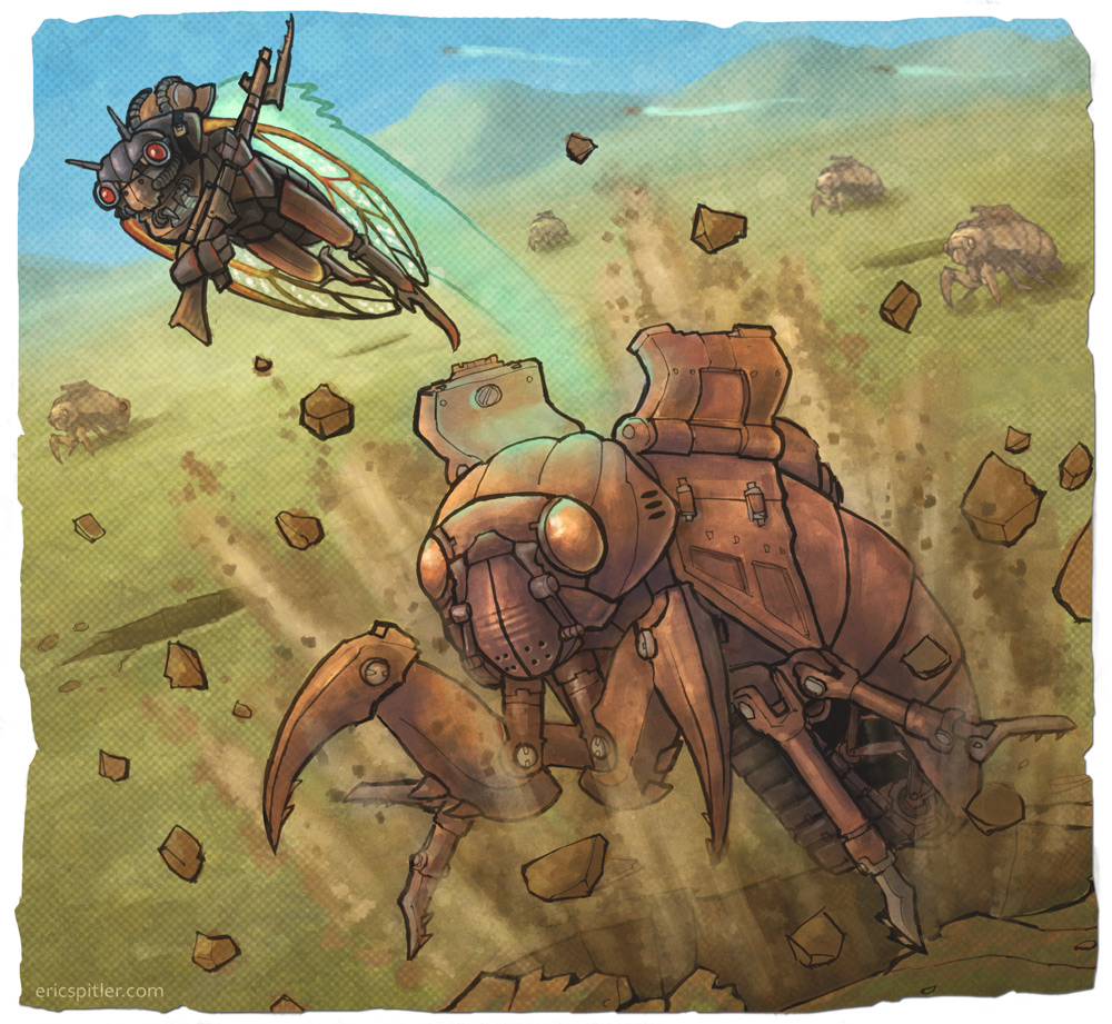 cicada